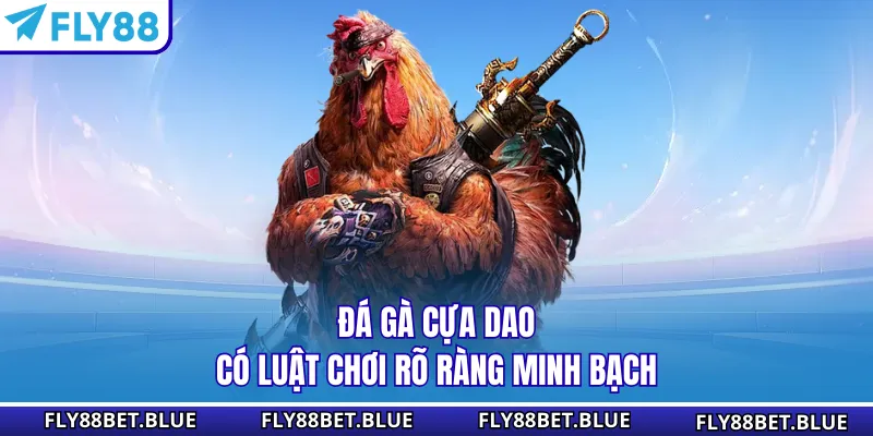 Đá gà cựa dao có luật chơi rõ ràng minh bạch