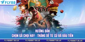 Hướng Dẫn Chọn Gà Chọi Hay - Thắng Dễ Từ Cú Đá Đầu Tiên